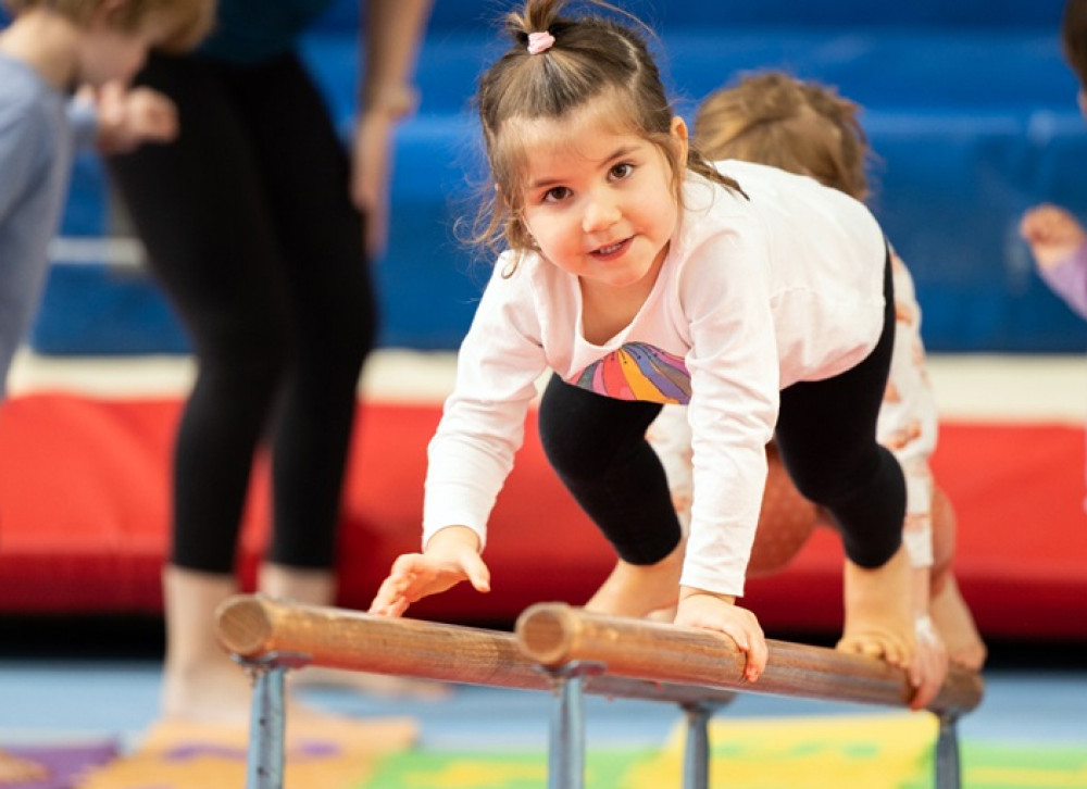 fbc-gymnastic-kids-logs