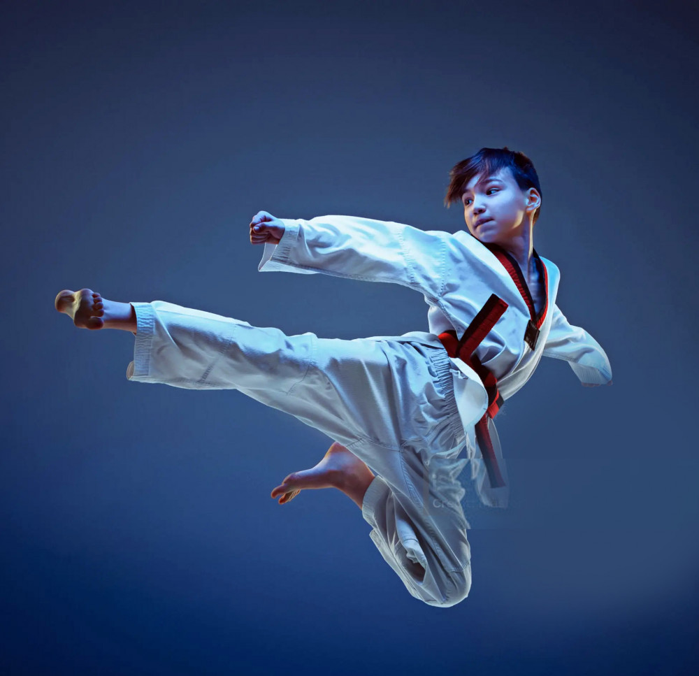 fbc-karate-kids-blog-ii