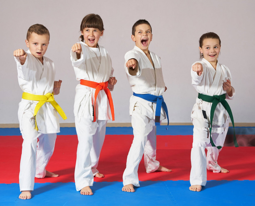 hfc-karate-kids-blogs