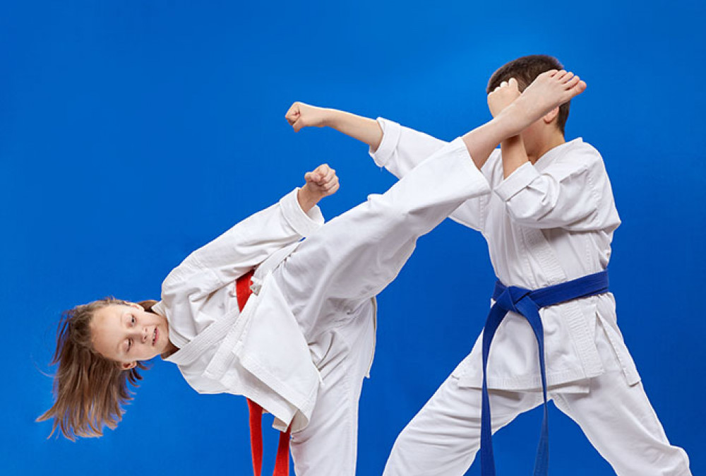 hfc-karate-smell-my-fanny