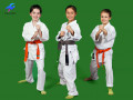 fbc-karate-kids-g