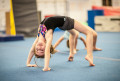 hfc-gymnastic-kids