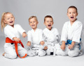 hfc-karate-group