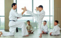 hfc-karate-learning