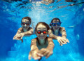 hfc-swimming-inside-water-glasses
