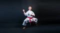 hfc_karate-Get%20to%20Know%20the%20terms