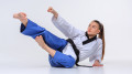 hfc_karate-Get%20to%20know%20the%20karate%20terms