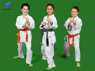 fbc-karate-kids-g