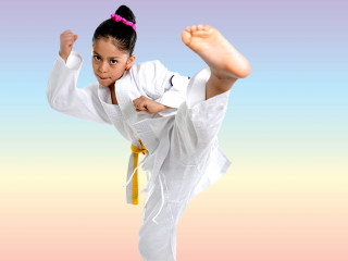 hfc-karate-front-kick