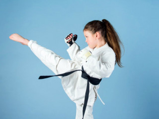 hfc-karate-kick