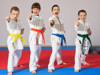 hfc-karate-kids-blogs